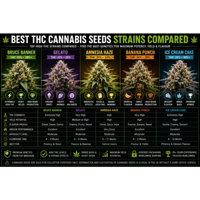 Cannabis Seeds: Best THC Cannabis Seed Strains Compared.