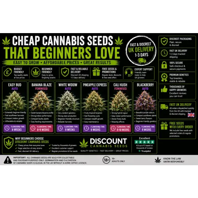 Cannabis Seeds: Cheap Cannabis Seeds That Beginners Love.