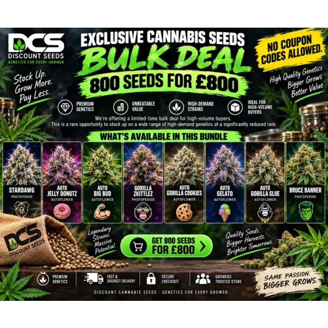 Cannabis Seeds: Exclusive Bulk Seeds Deal 800 Seeds for £800.