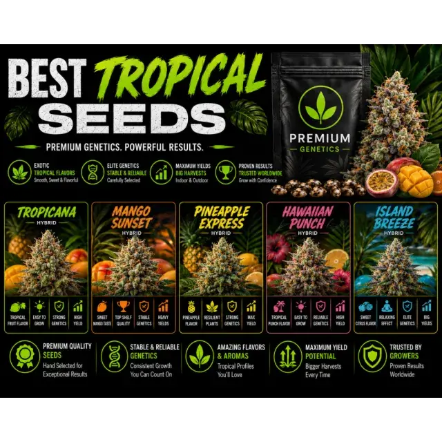 Cannabis Seeds: Exotic Genetics with Fruity Tropical Aromas.