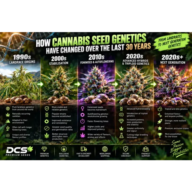 Cannabis Seeds: How Cannabis Seed Genetics Have Changed Over the Last 30 Years.