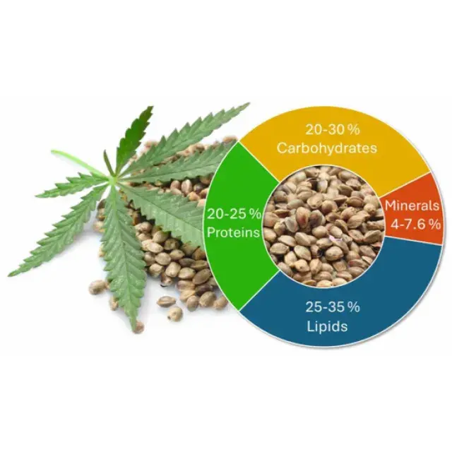 Cannabis Seeds Knowledge Hub The Complete Learning Library.