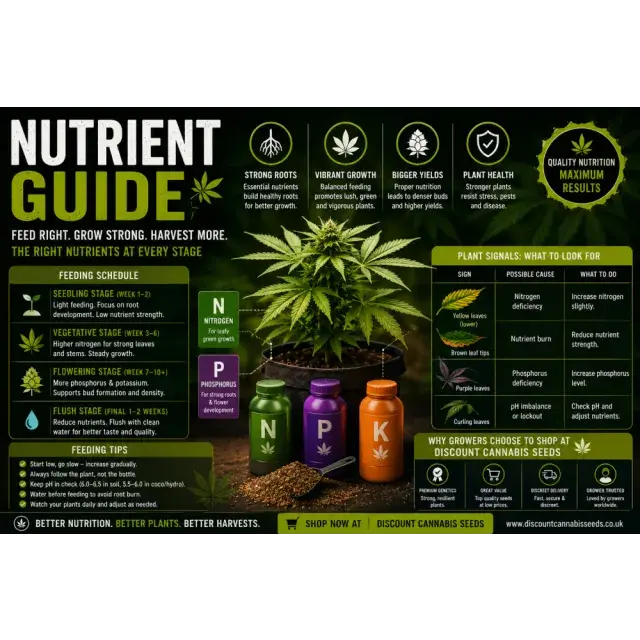 Cannabis Seeds Nutrient Guide. Growth, Strength, and Final Results.