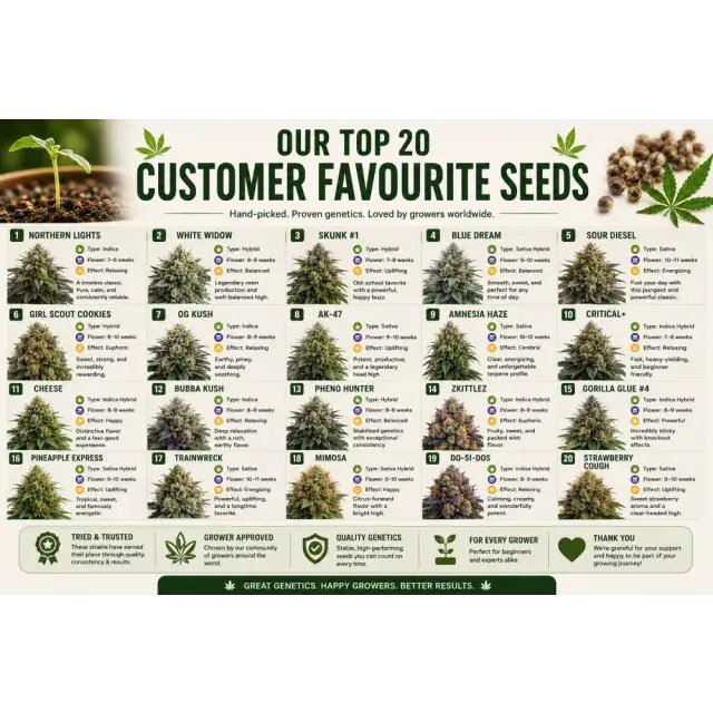 Cannabis Seeds: Our Top 20 Customer Favourite Cannabis Seeds.