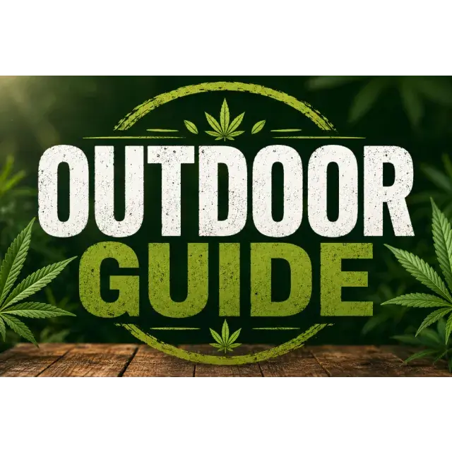 Cannabis Seeds: Growing Cannabis Outdoors in the UK.