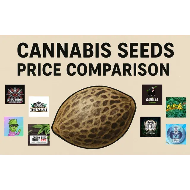 Cannabis Seeds Price Comparison By Discount Cannabis Seeds.