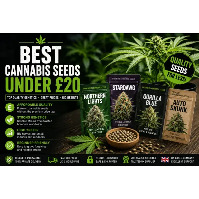 Cannabis Seeds: The Best Cannabis Seeds Under £20.