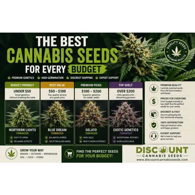 Cannabis Seeds: The Best Cannabis Seeds for Every Budget.