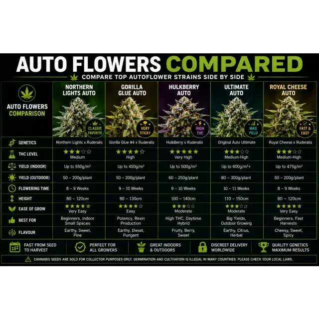 Cannabis Seeds: The Best Yielding Auto flowers Compared.