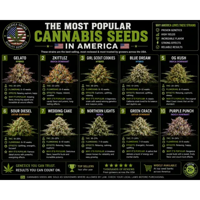 Cannabis Seeds: The Most Popular Cannabis Seeds in America.