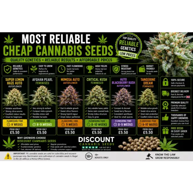 Cannabis Seeds: The Most Reliable Cheap Cannabis Seeds.