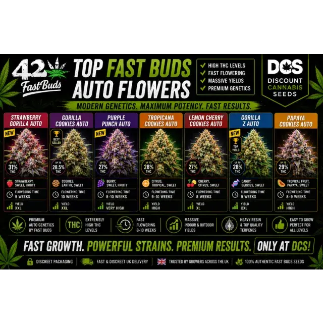 Cannabis Seeds: The Top Fast Buds Auto Flowers Strains.