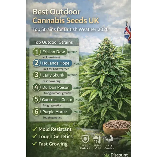 Cannabis Seeds: The Best Cannabis Seeds for British Summers.