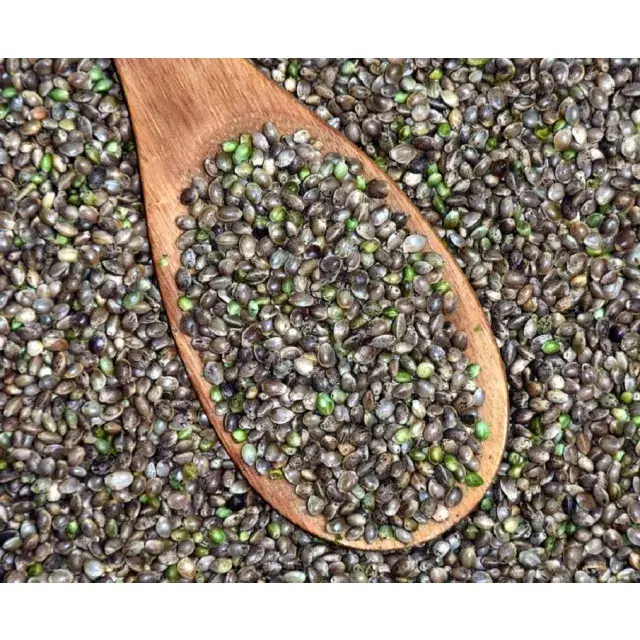 Cannabis Seeds: The Complete UK Buyer’s Guide 2025.