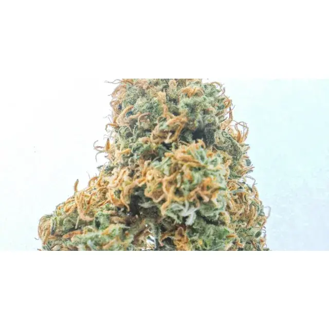 Discover the Top Indica Cannabis Seeds Strains for Calm at Discount Cannabis Seeds.