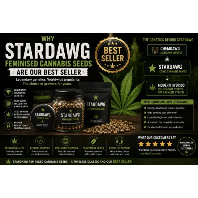 Cannabis Seeds: Why Stardawg Feminised Cannabis Seeds Are Our Best Seller