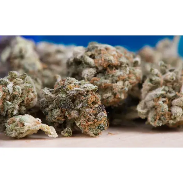 Why Choose Outdoor Cannabis Seeds for Your Summer Garden at Discount Cannabis Seeds?