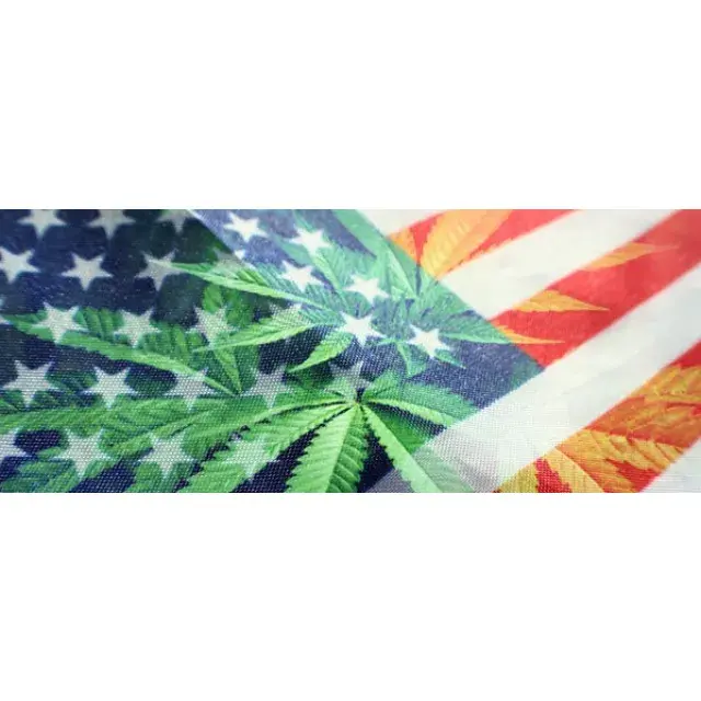 Cannabis Seeds  Strains For The Growers In The USA.