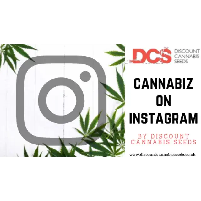 Cannabis on Instagram - Discount Cannabis Seeds