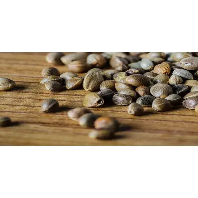 Cannabis Seeds - Cheap Weed Seeds UK.
