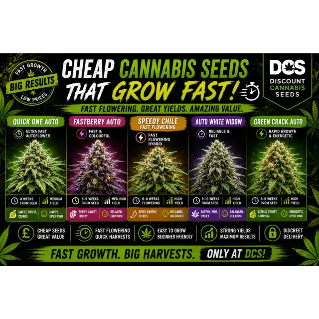 Cannabis Seeds: The Cheap Cannabis Seeds That Grow Fast.