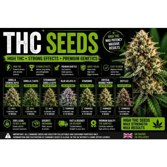 Cannabis Seeds: Cheap Cannabis Seeds With High THC Levels.