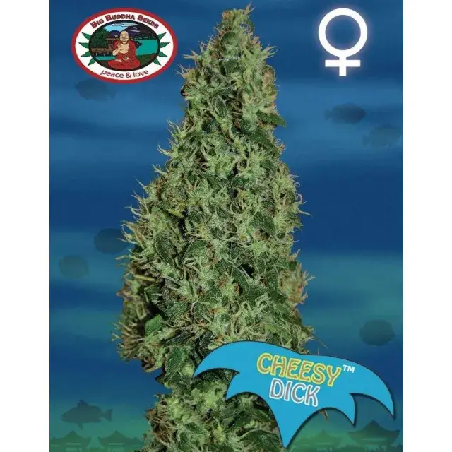 Discount Cannabis Seeds