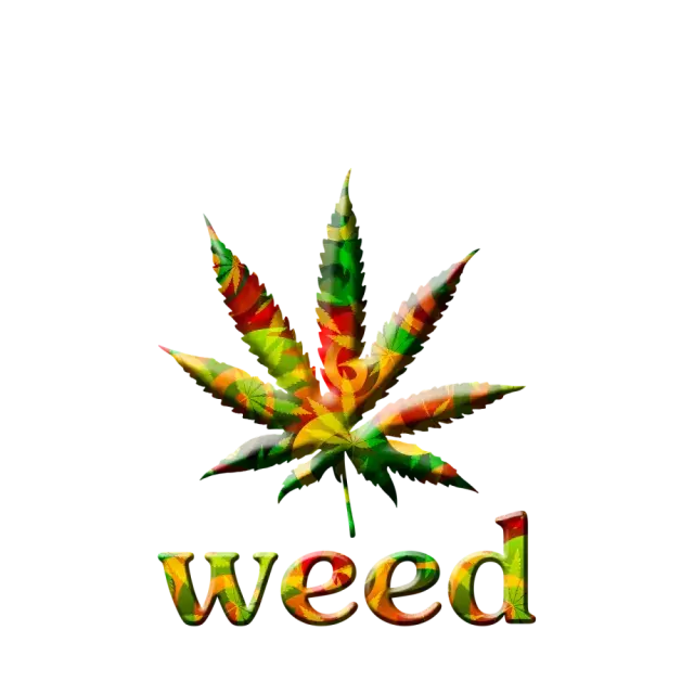 A Guide to Selecting the Perfect Kush Cannabis Seeds.