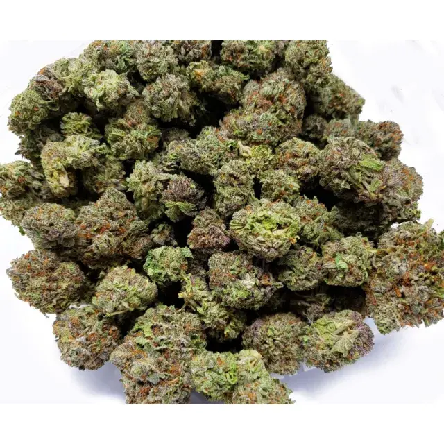 Global Trends in Cannabis Seeds Cultivation: Seed Selection.