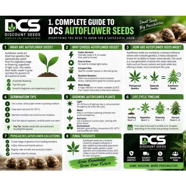 Cannabis Seeds: Complete Guide to DCS Auto flower Cannabis Seeds.