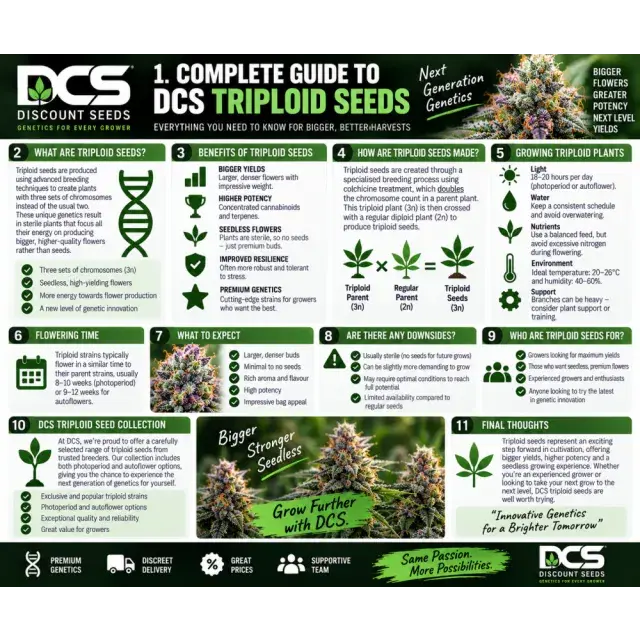 Cannabis Seeds: A Complete Guide to DCS Triploid Cannabis Seeds.