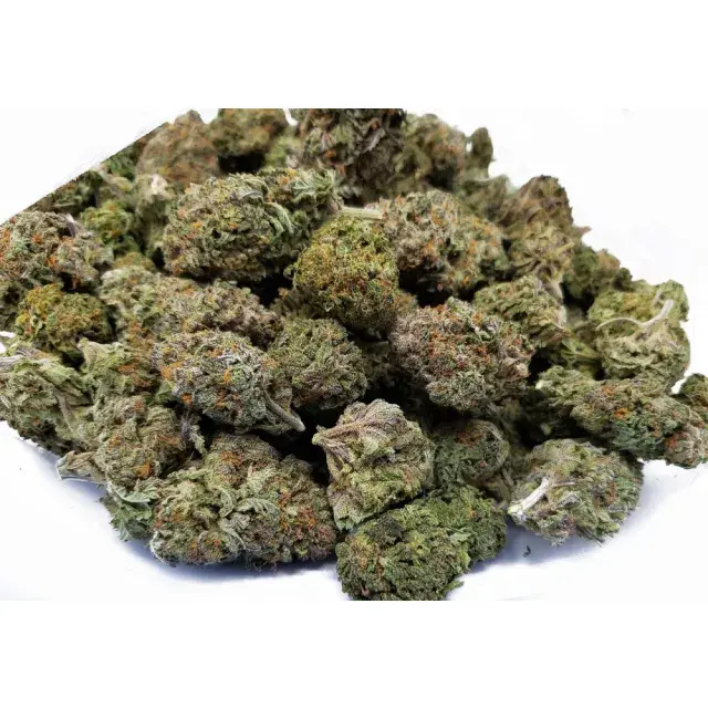 Cannabis Seeds Glossary – Genetics, Phenotypes & Growing Terms.