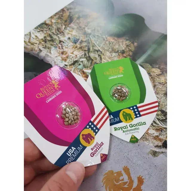 The Guide to Growing Cannabis Seeds with Royal Queen Seeds.
