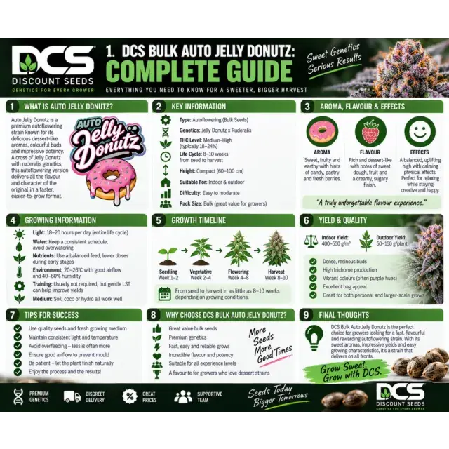 Cannabis Seeds: DCS Bulk Auto Jelly Donutz: Complete Guide.