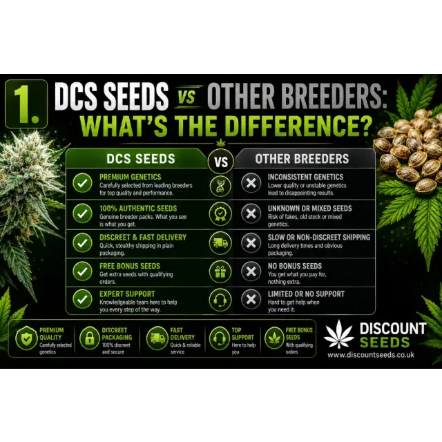 Cannabis Seeds: DCS Cannabis Seeds vs Other Breeders.