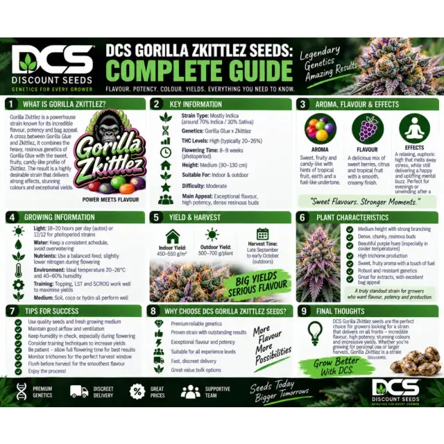 Cannabis Seeds: DCS Gorilla Zkittlez Cannabis Seeds A Complete Guide