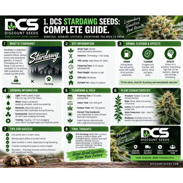 Cannabis Seeds: DCS Stardawg Cannabis Seeds: Complete Guide.