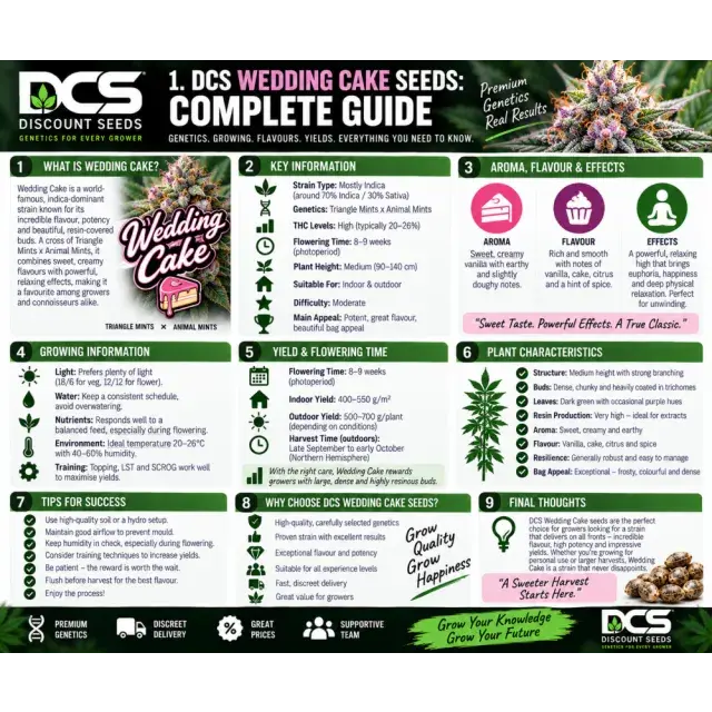 Cannabis Seeds: DCS Wedding Cake Cannabis Seeds A Complete Guide