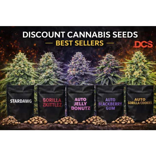 Cannabis Seeds UK: Discount Cannabis Seeds Top 10 Strains Of 2026.