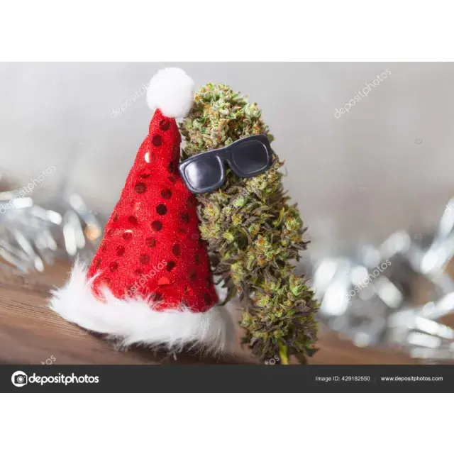 Seasonal Guide: Which Cannabis Seeds to Grow in Each UK Season.