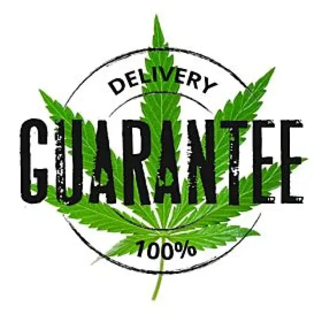 How Discount Cannabis Seeds Can Help You Start Your Journey.