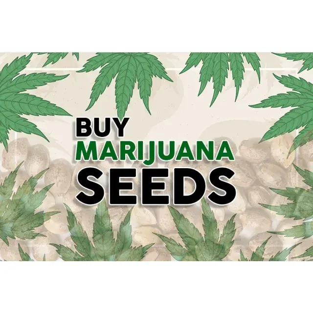 Understanding Cannabis Seeds and Their Benefits at Discount Cannabis Seeds.