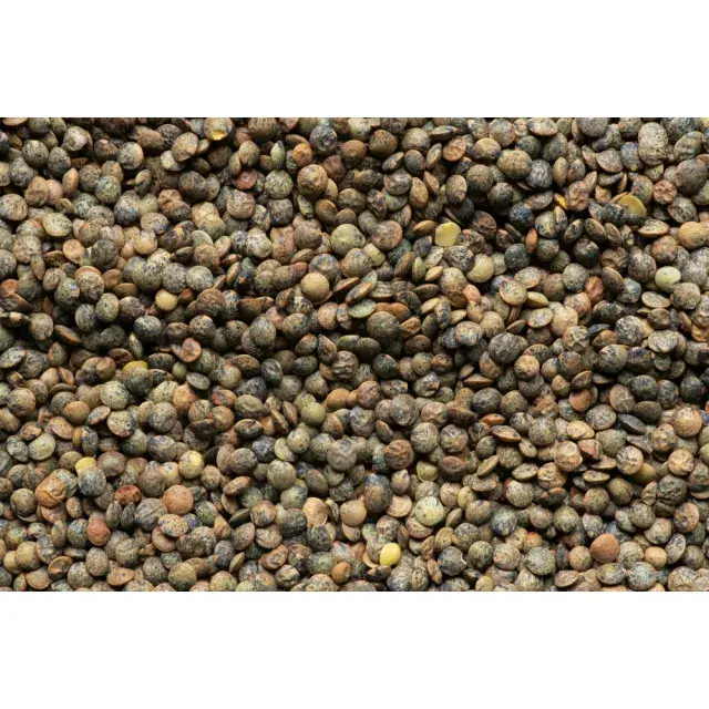 Pot of Savings: Mastering Thrifty Thursdays at Discount Cannabis Seeds.