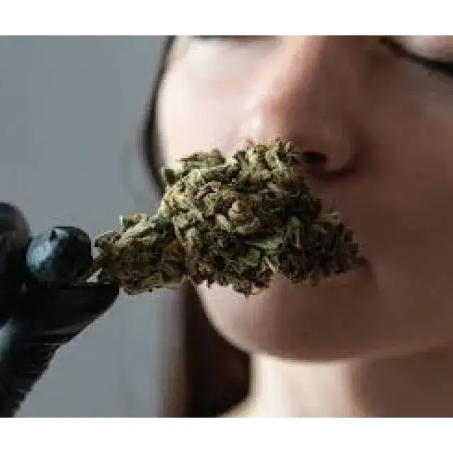 Discover the Best-Tasting Cannabis Seeds Strains of All Time at Discount Cannabis Seeds.