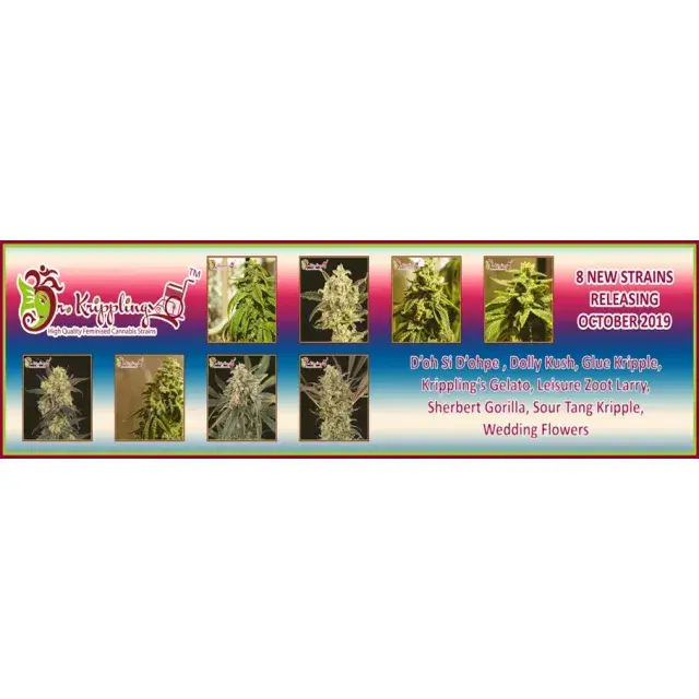Dr Krippling New Strains - Discount Cannabis Seeds