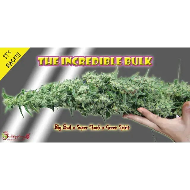 Cannabis Seeds - Dr Krippling Incredible Bulk Review.