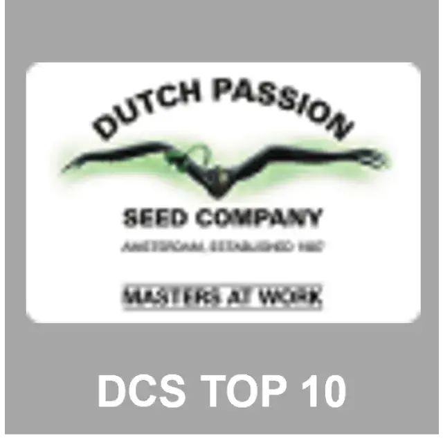 Dutch Passion | Discount Cannabis Seeds