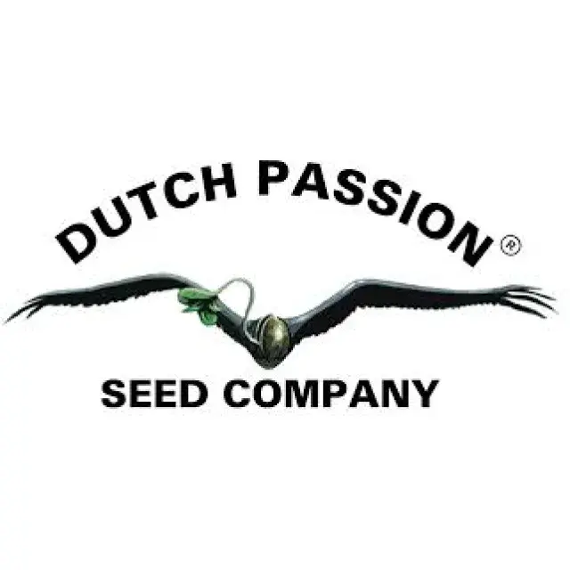 New strains from Dutch Passion - Discount Cannabis Seeds
