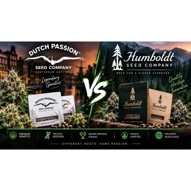 Cannabis Seeds: Dutch Passion Seeds vs Humboldt Seed Company Seeds.
