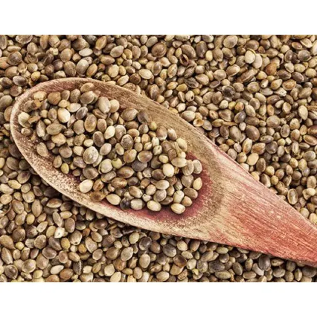 Cannabis Seeds - Eating Or Smoking Cannabis Seeds.